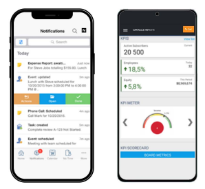 Seven Reasons Nonprofits Choose NetSuite Over Sage Intacct 6 img asset worksheet 28